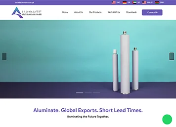 Website 4